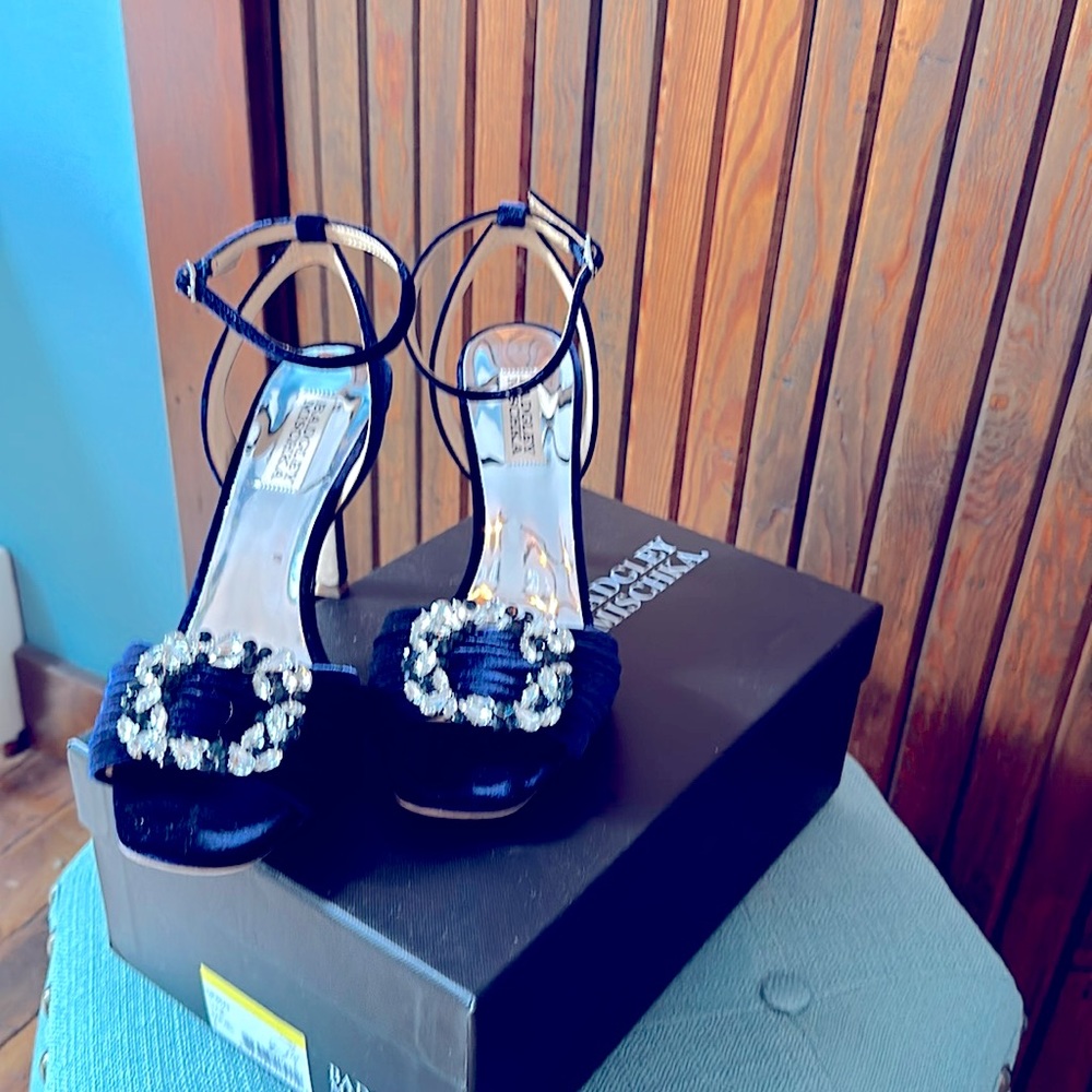 Badgley Mischka Nixie Sapvel Sz 8 Heels